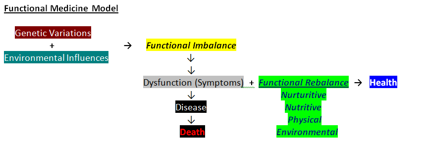 Functional Medicine Model