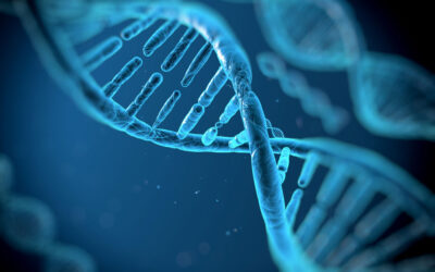 DNA slice image