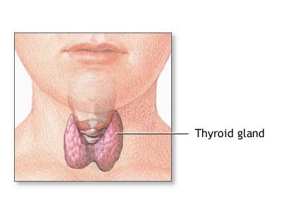 Signs & Symptoms of Hyperthyroidism