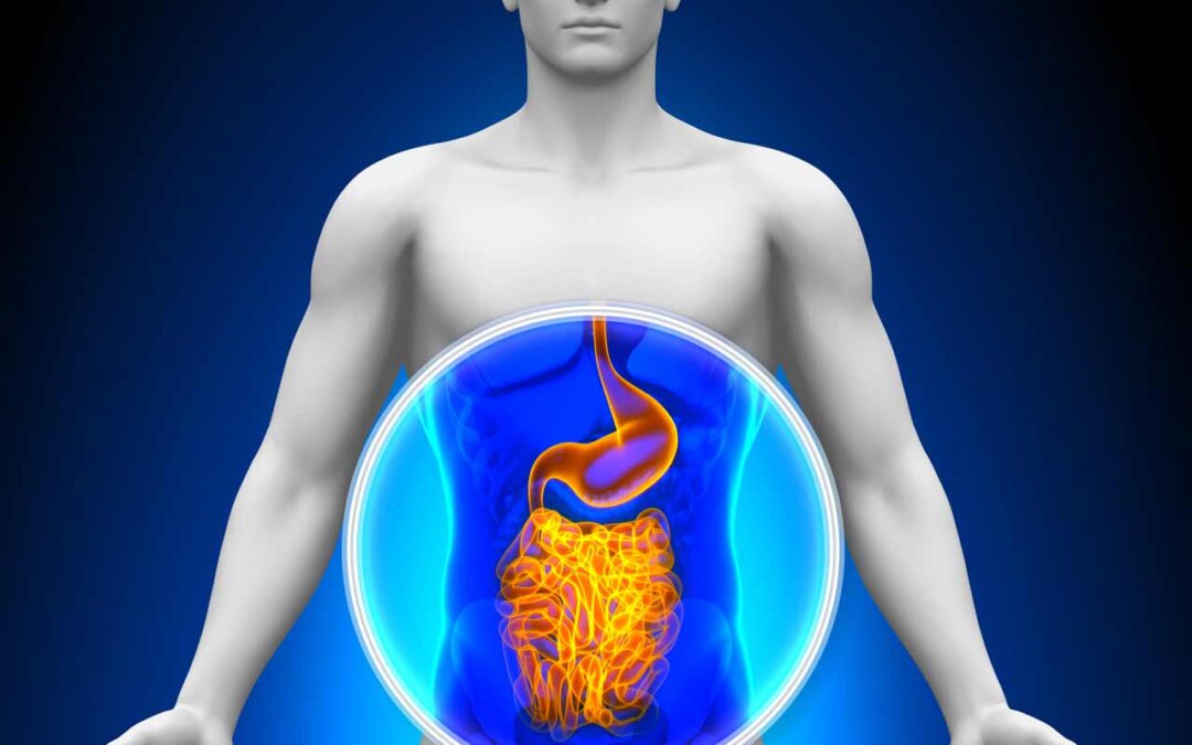 Crohn’s, Colitis, Inflammatory Bowel Disease (IBD) & Vitamin D Resistance