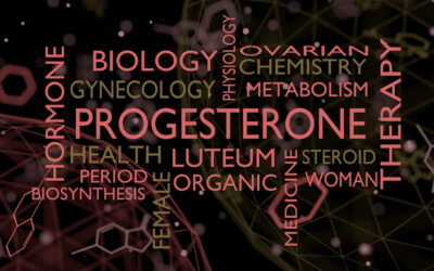 progesterone word wall